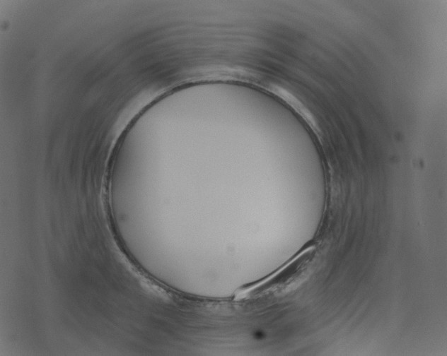 X0000073460901200608251729