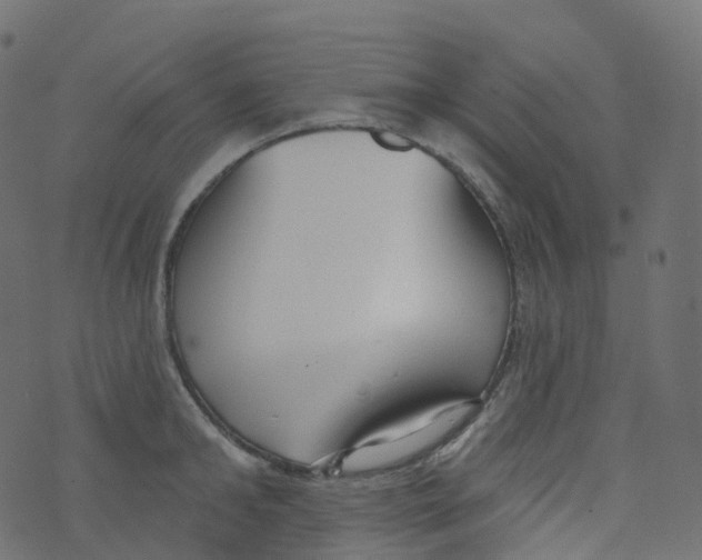 X0000073460902200608251729