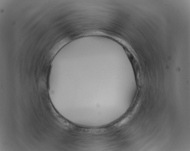 X0000073460905200608251728