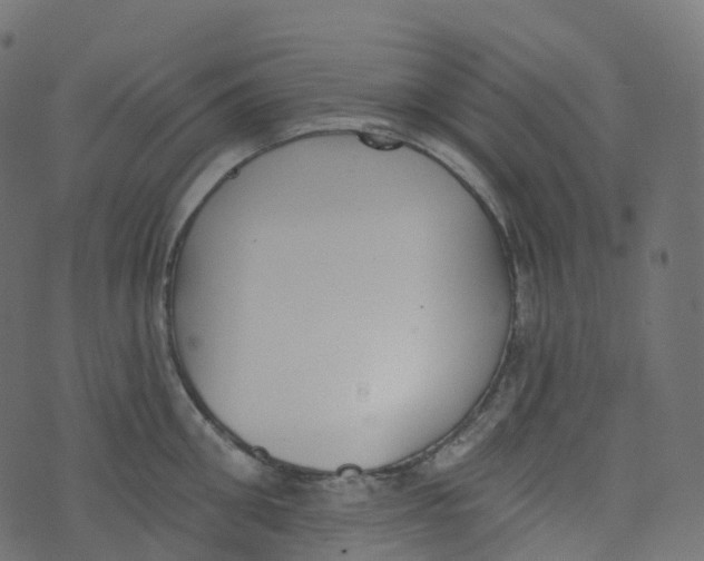 X0000073460906200608251728