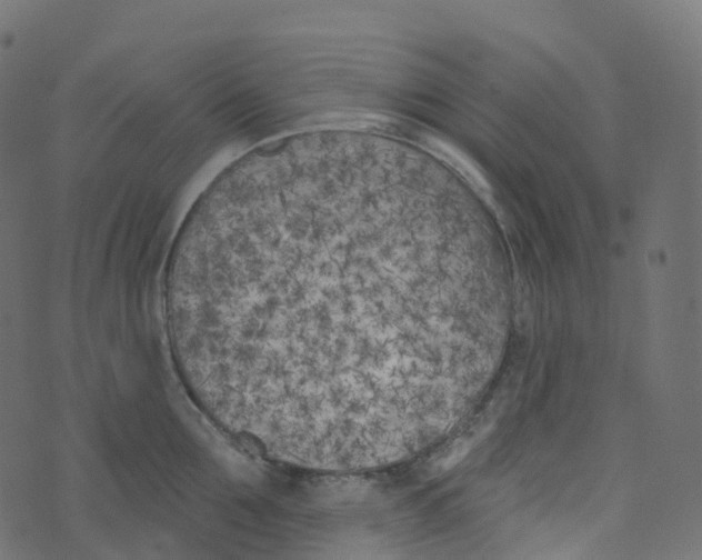 X0000073460907200608251728