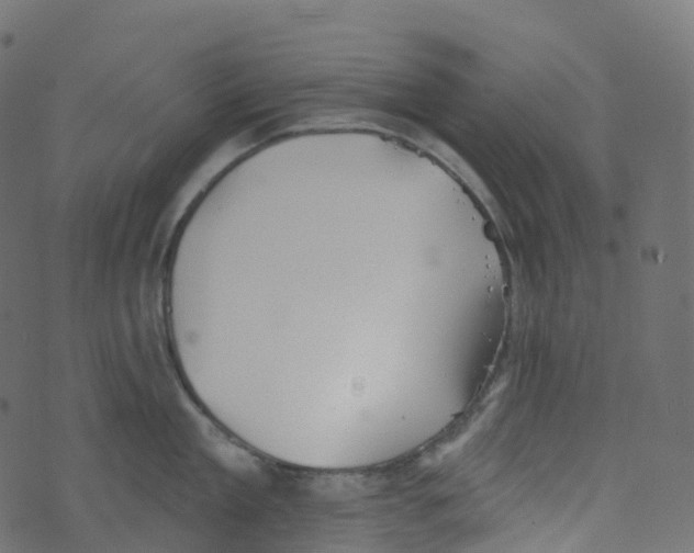 X0000073460909200608251728