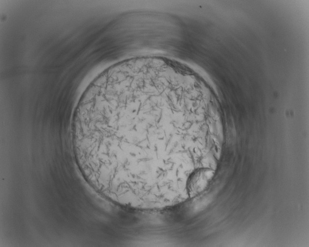 X0000073460911200608251728