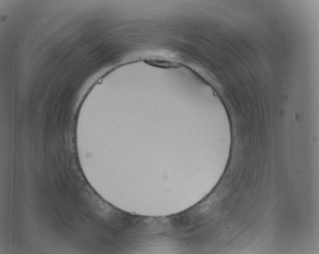 X0000073460912200608251728