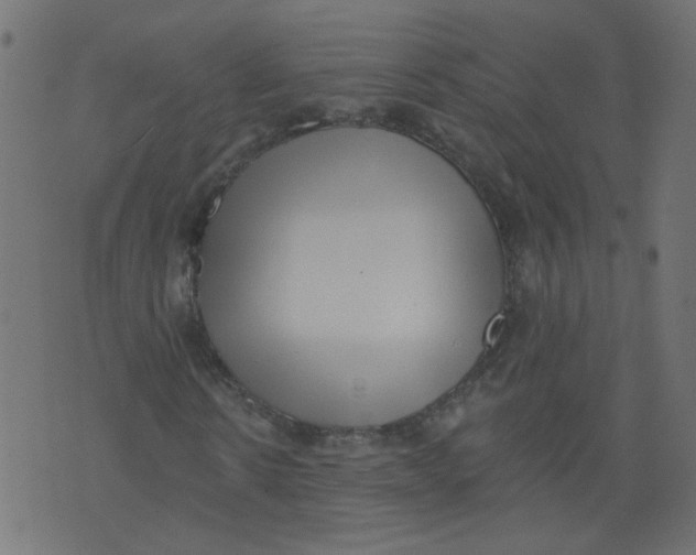 X0000073460914200608251728