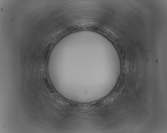 X0000073460917200608251728