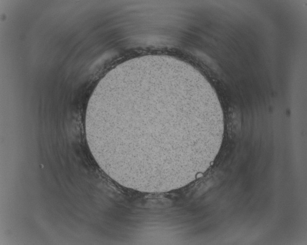 X0000073460918200608251728