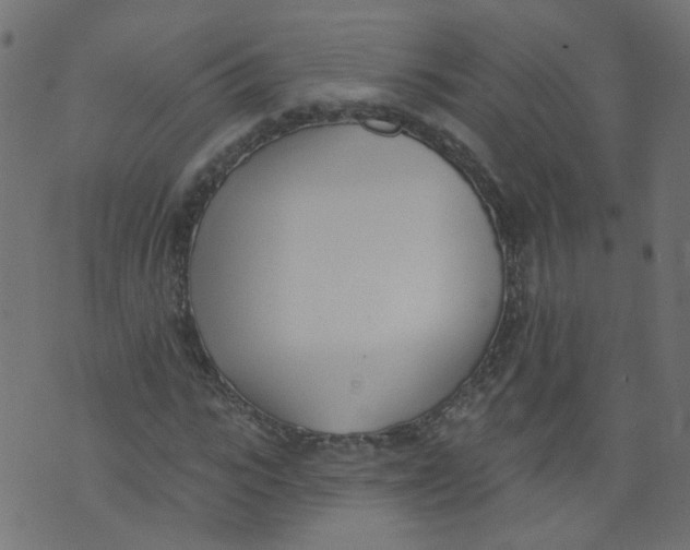 X0000073460919200608251728