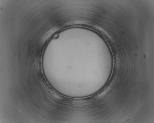 X0000073460921200608251728