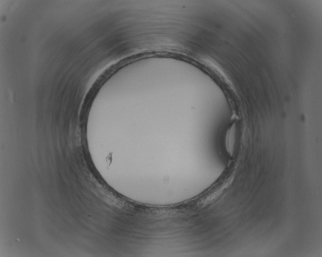 X0000073460924200608251728