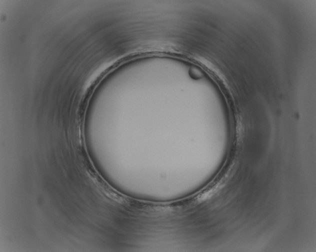 X0000073460925200608251728