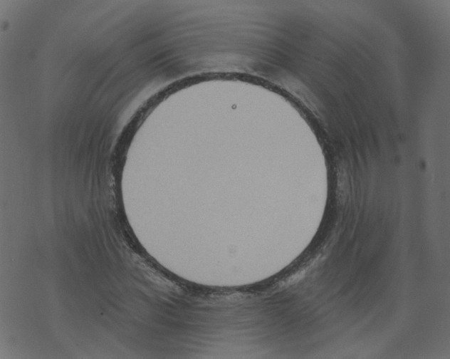 X0000073460926200608251728