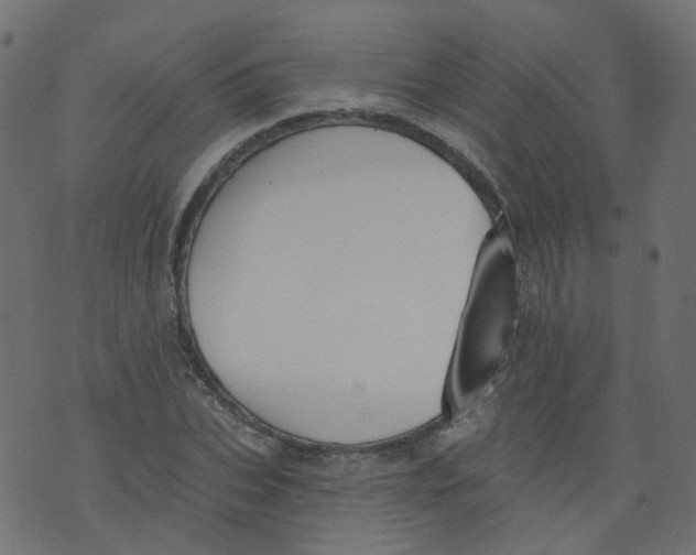 X0000073460927200608251728