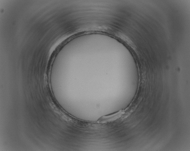 X0000073460928200608251728