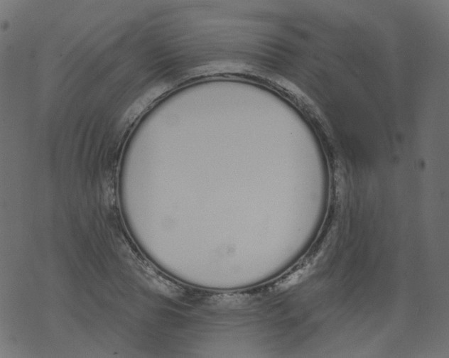 X0000073460929200608251728