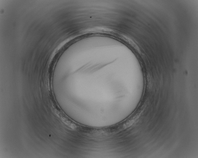 X0000073460931200608251728