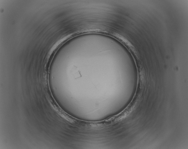 X0000073460933200608251728