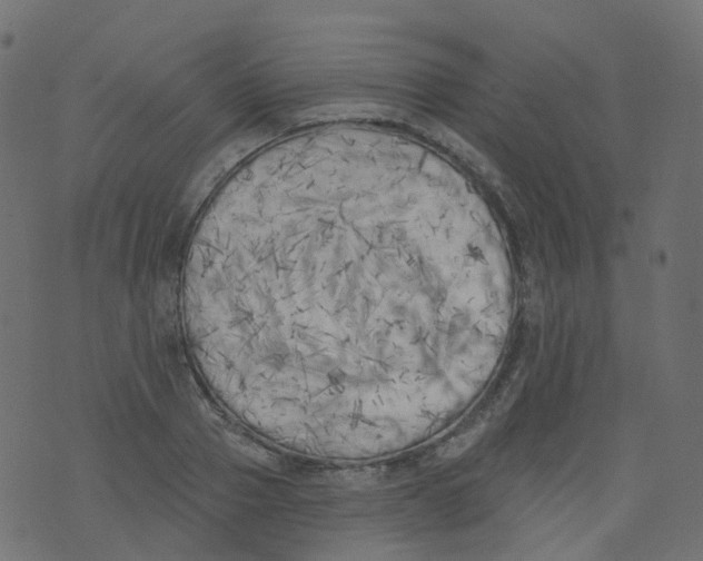 X0000073460937200608251728