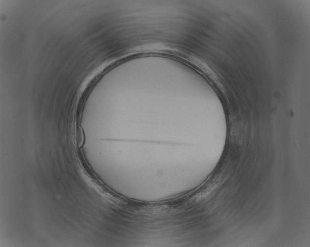 X0000073460939200608251728