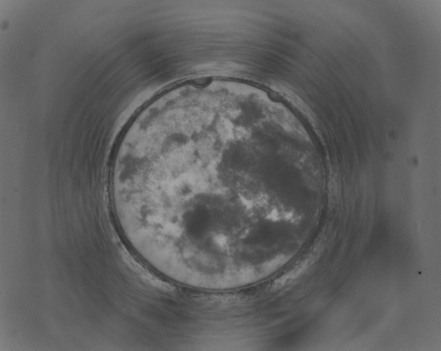 X0000073460941200608251728