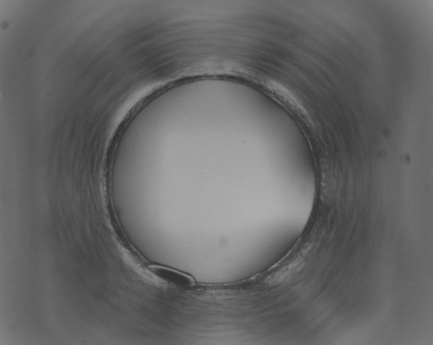 X0000073460942200608251728