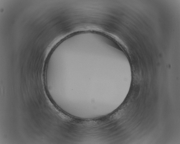 X0000073460943200608251728