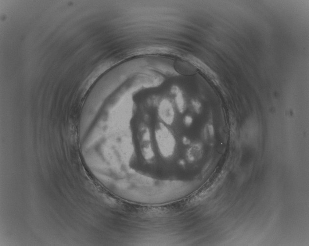 X0000073460945200608251728