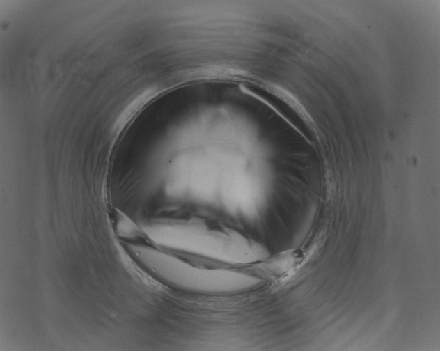 X0000073460946200608251728