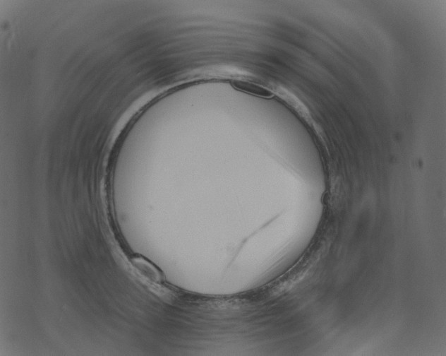 X0000073460947200608251728