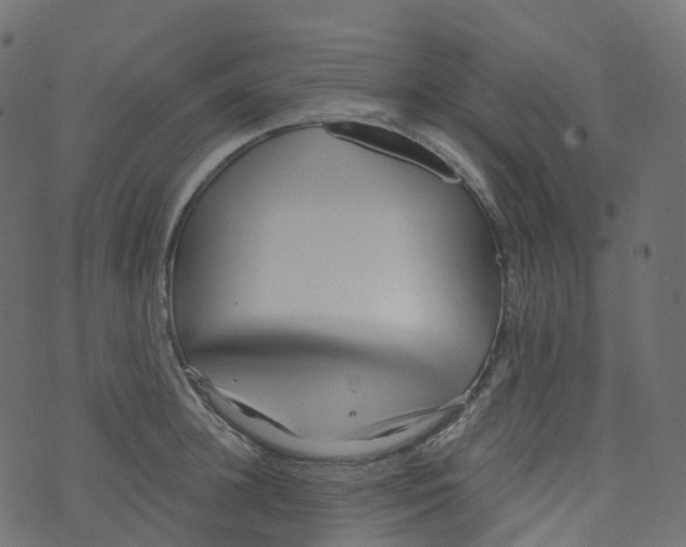 X0000073460948200608251728