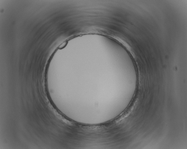 X0000073460949200608251728