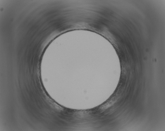 X0000073460950200608251728