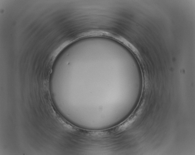 X0000073460953200608251728