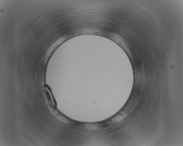 X0000073460954200608251728