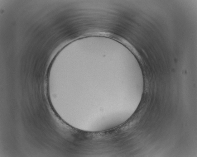 X0000073460955200608251728