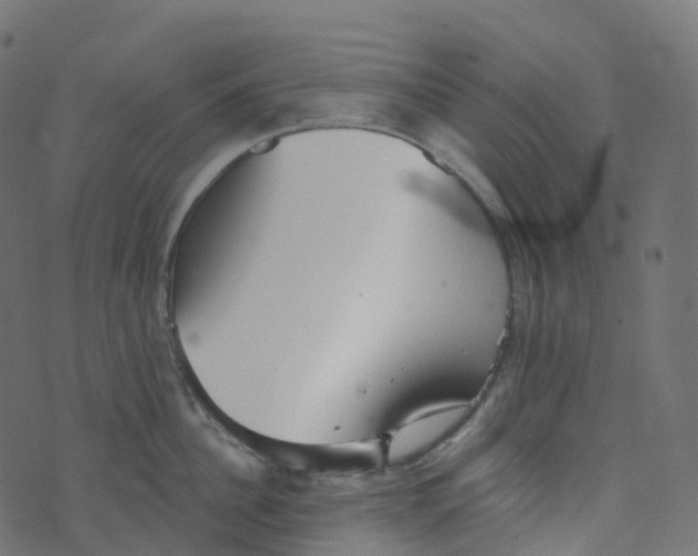 X0000073460956200608251728