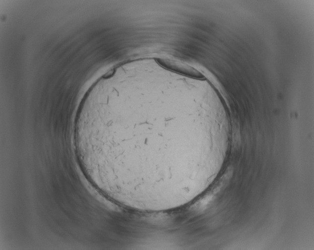 X0000073460957200608251728