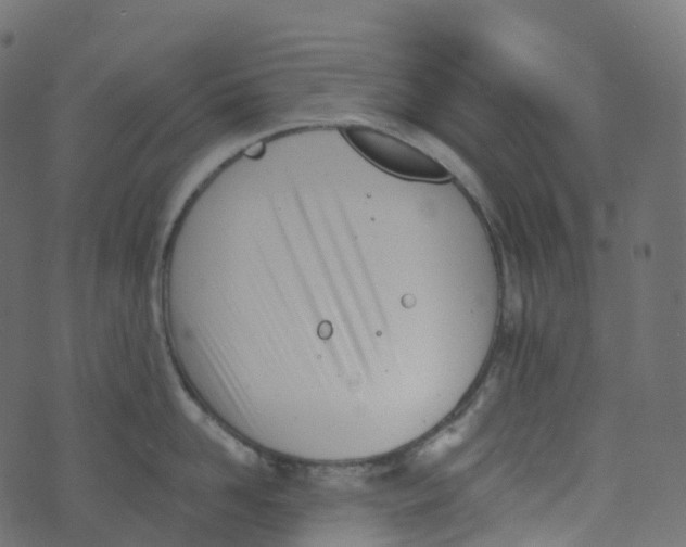 X0000073460958200608251728