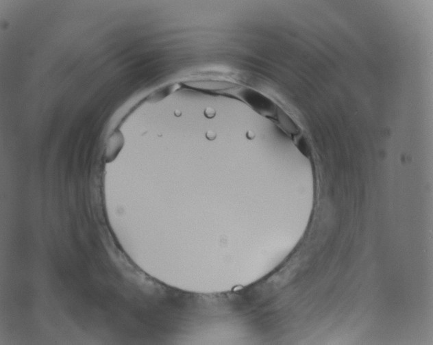 X0000073460960200608251728