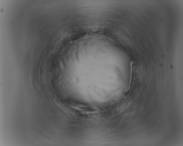 X0000073460961200608251728