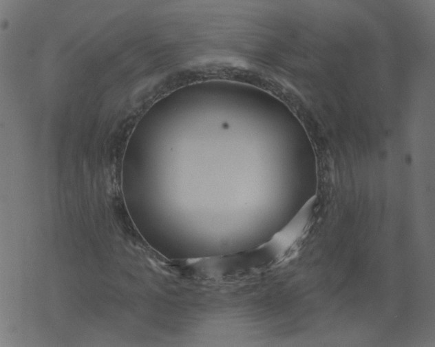 X0000073460965200608251727