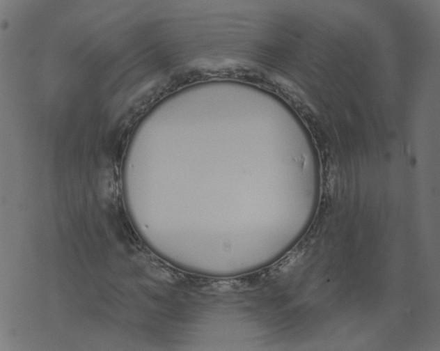 X0000073460966200608251727