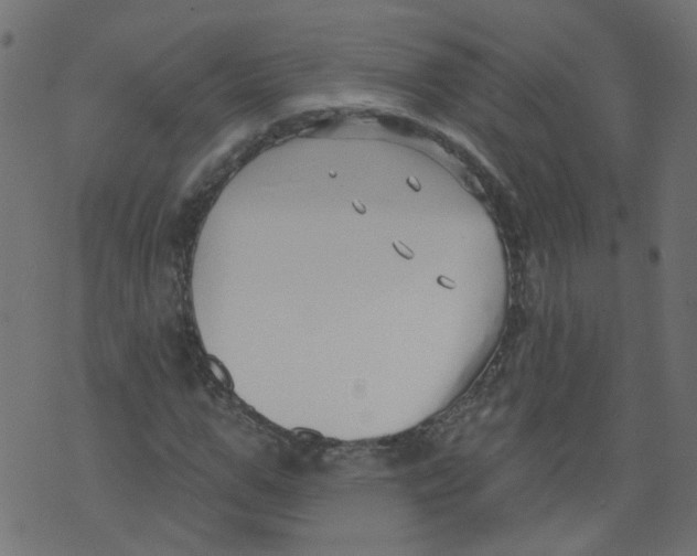 X0000073460967200608251727