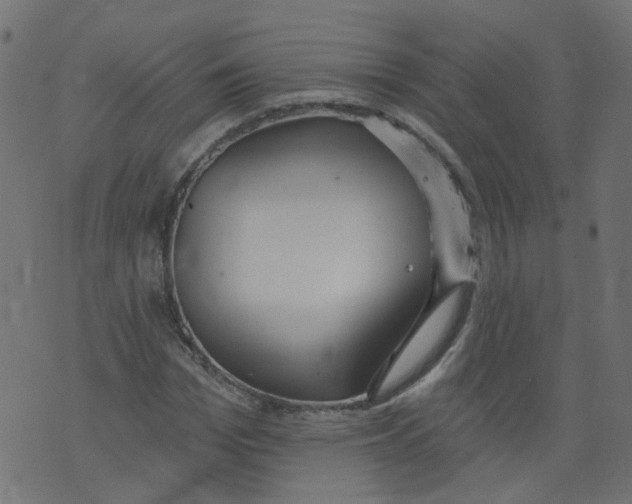 X0000073460969200608251727