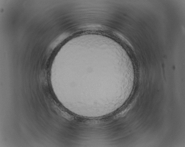 X0000073460970200608251727