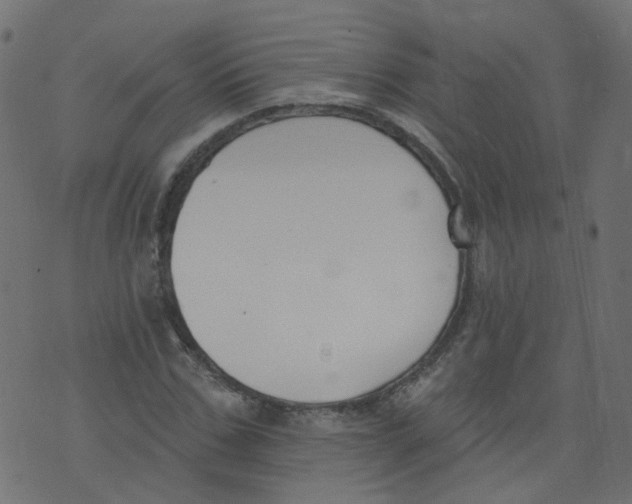 X0000073460971200608251727