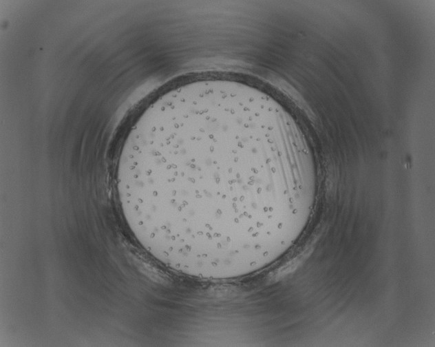 X0000073460974200608251727