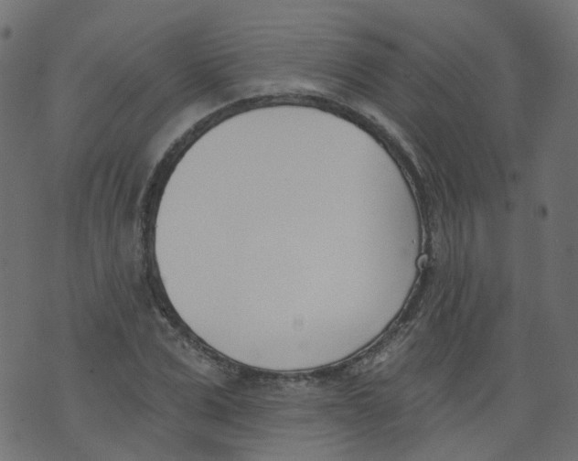 X0000073460975200608251727