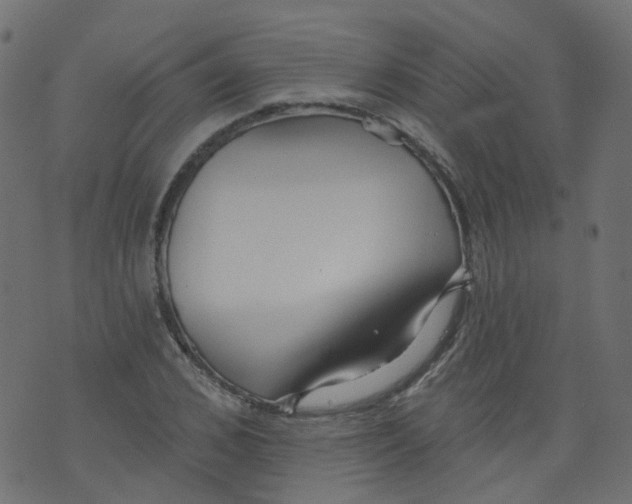 X0000073460976200608251727