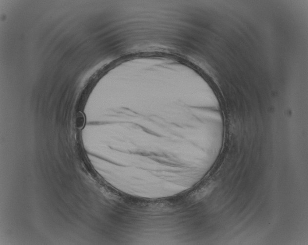 X0000073460979200608251727